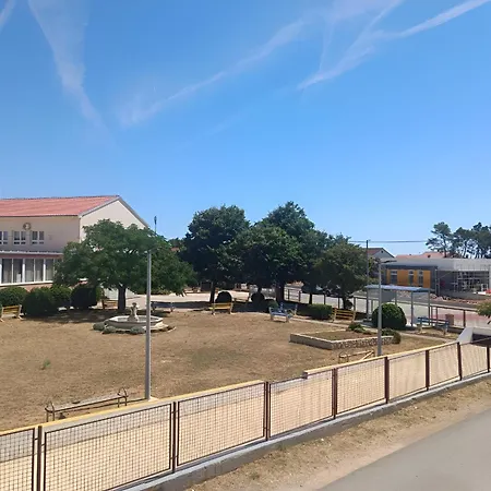 Cozy In Privlaka, 200m From The And Near Vir Island 아파트 *