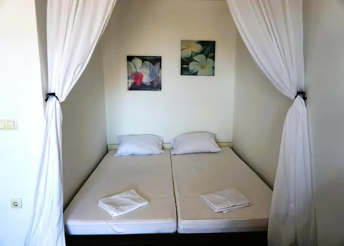 Cozy In Privlaka, 200m From The And Near Vir Island